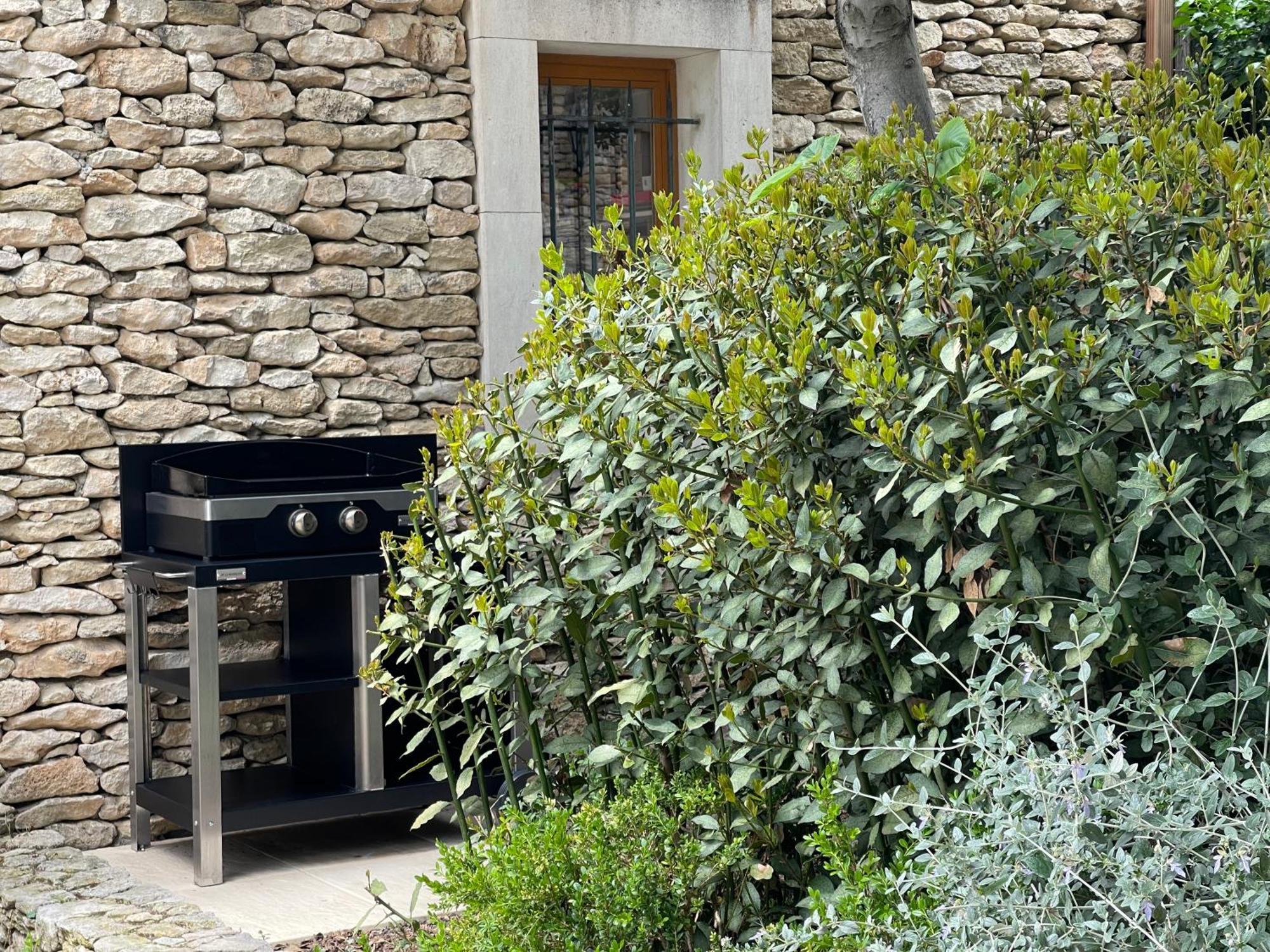 La Villa Baronnette Cabrieres-d'Avignon Екстер'єр фото